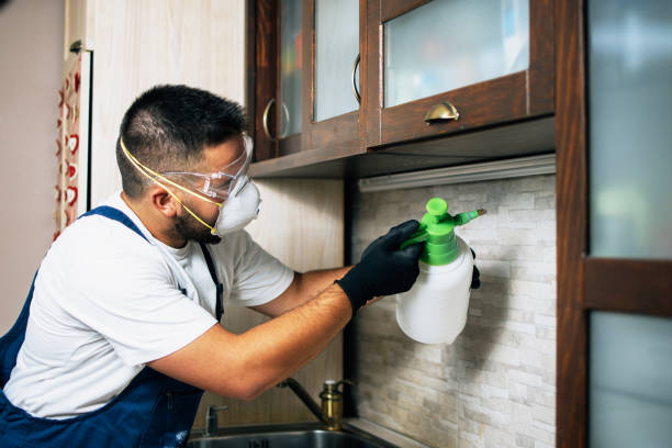 Best Pest Removal Services  in Eaton, IN