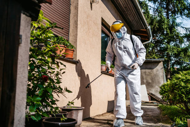Best Local Pest Control Services  in Eaton, IN