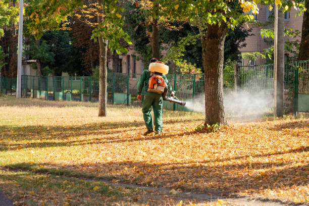 Best Pest Control Near Me in Eaton, IN