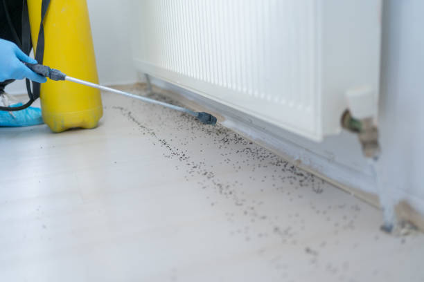 Professional Pest Control in Eaton, IN