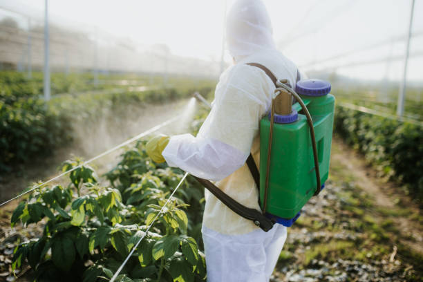 Best Affordable Exterminators  in Eaton, IN